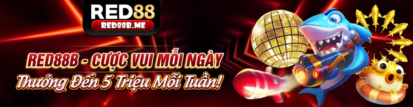 Hình ảnh nền tảng 66b web với các điều khoản và điều kiện pháp lý